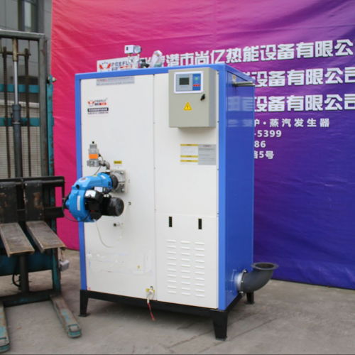 立浦熱能LWS0.2 0.7 Y Q燃氣蒸汽發(fā)生器 高效消毒與環(huán)保機電設(shè)備的卓越選擇